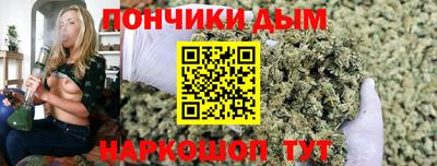 шишки Бузулук