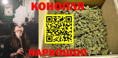 шишки Бузулук