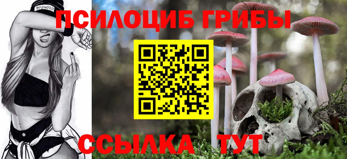 Псилоцибиновые грибы Psilocybe Кубинка