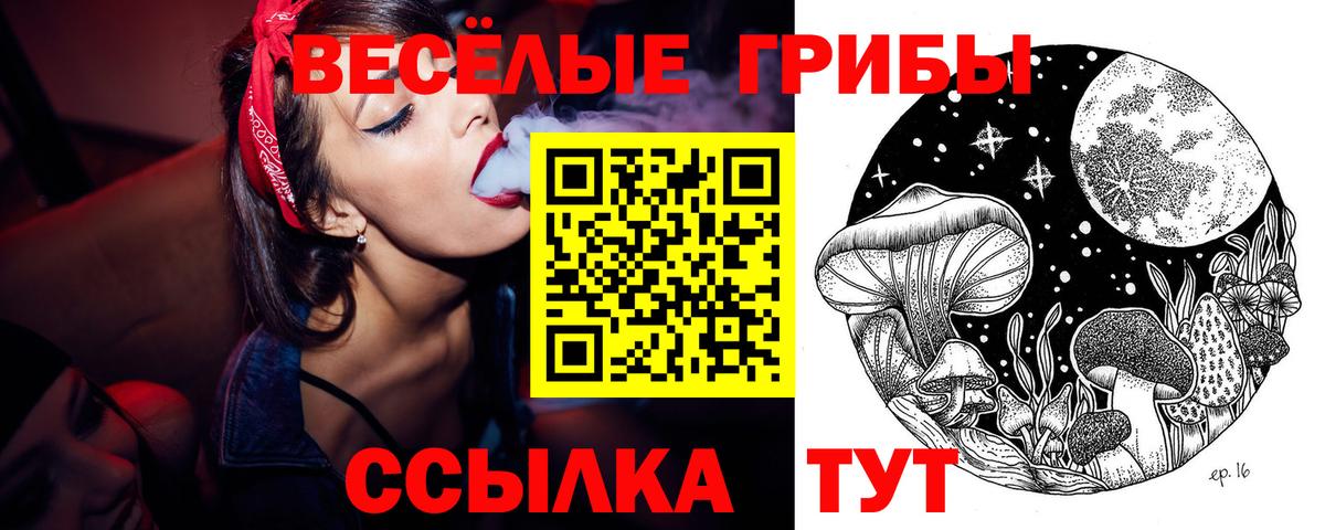 Галлюциногенные грибы мицелий  Вход с VPN  Кубинка 